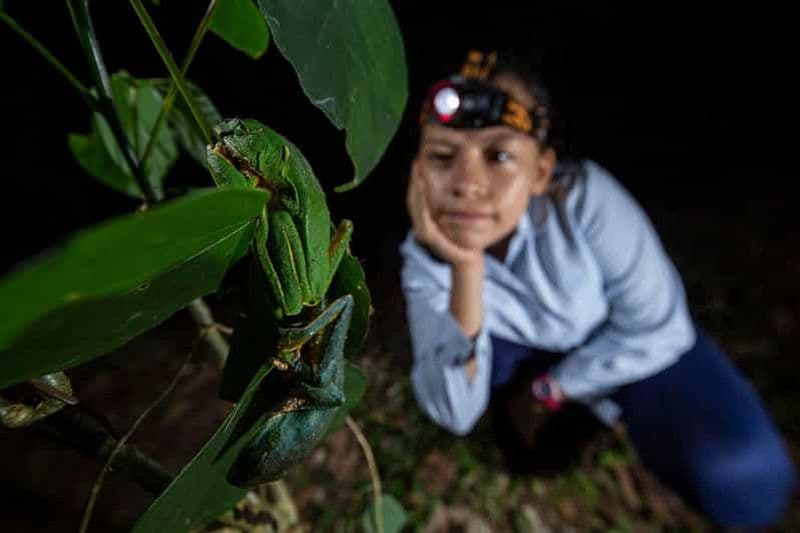 Tortuguero : Visite nocturne d'observation de la faune et de la flore et visite à pied de la jungle