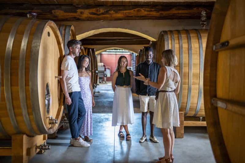 Cannes : Visite des vins de Provence - Visite privée au départ de Cannes