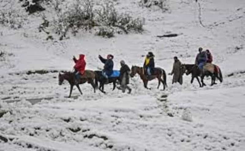Excursion d'une journée à Gulmarg : balade à cheval à travers des paysages pittoresques