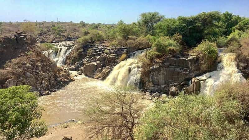 Billet Parc national d'Aouache – Safari et vues sur les cascades