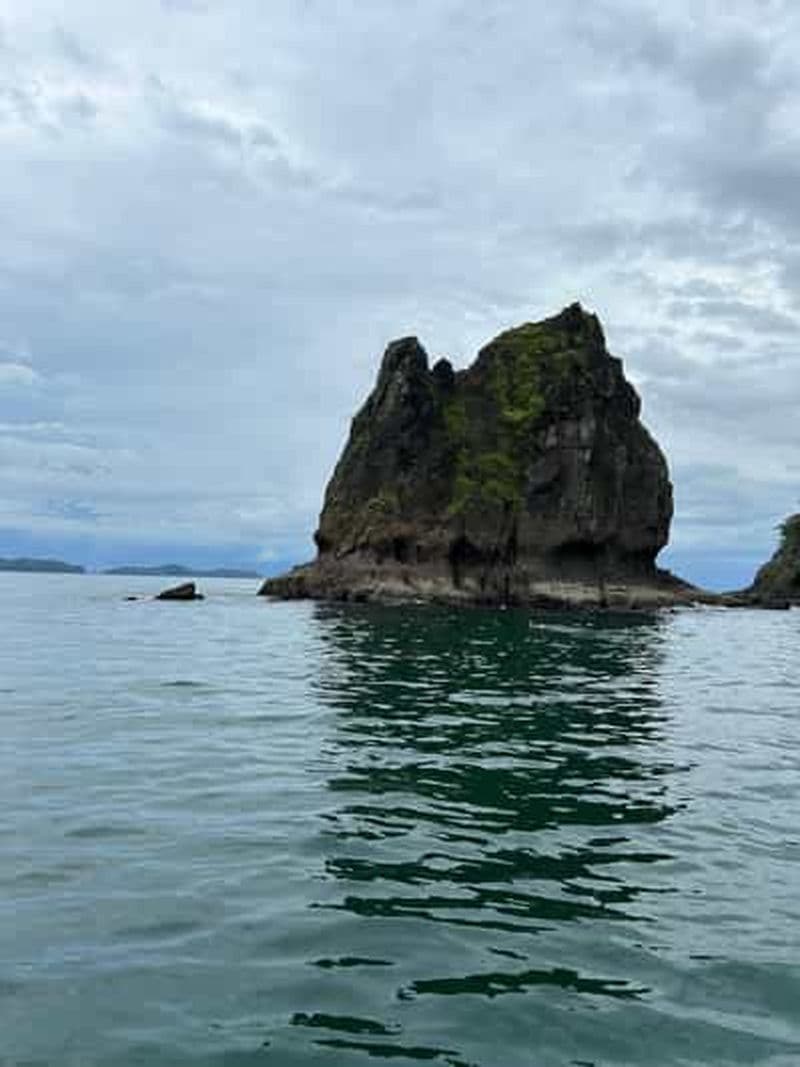 Depuis Tambor_ Tortuga Island Snorkeling and Bioluminescence ...