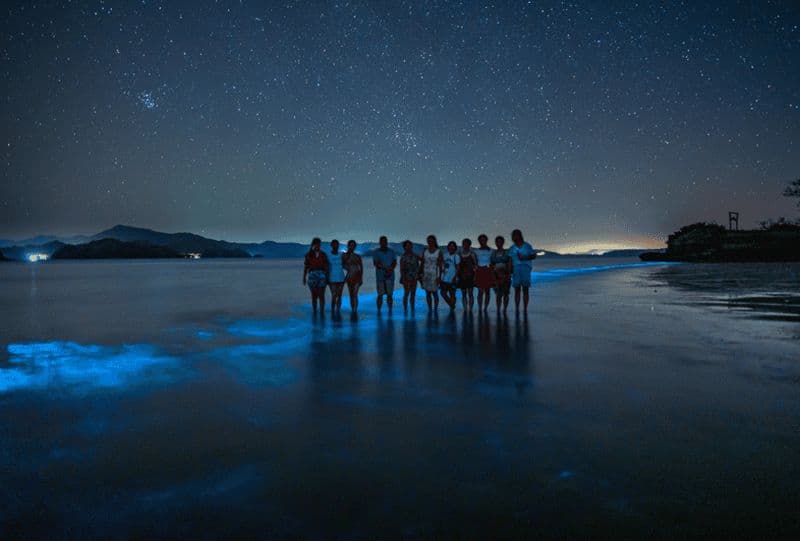 Circuit des bioluminescences ; bateau à moteur, camping (depuis San José)
