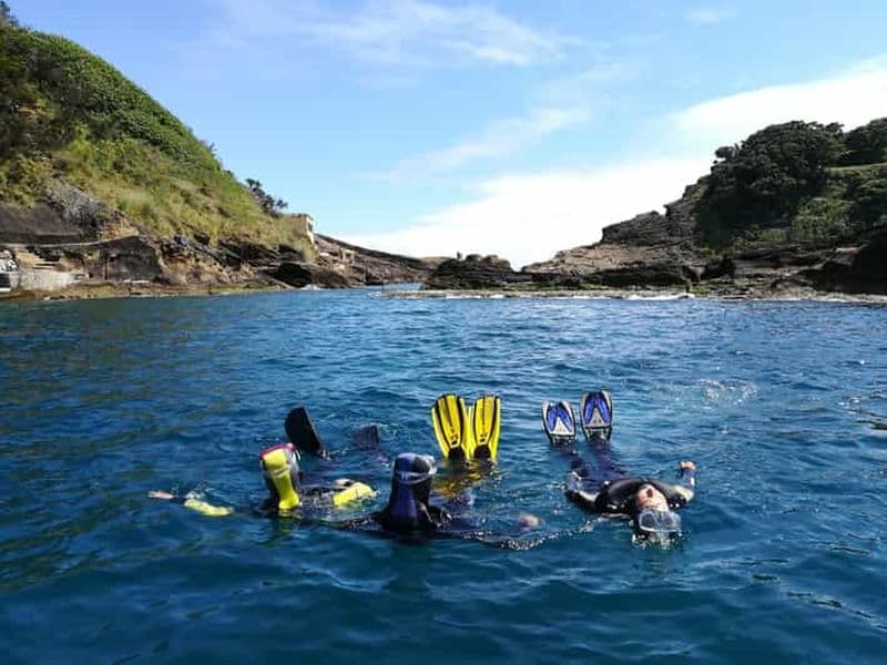 Vila Franca do Campo : Excursion avec masque et tuba