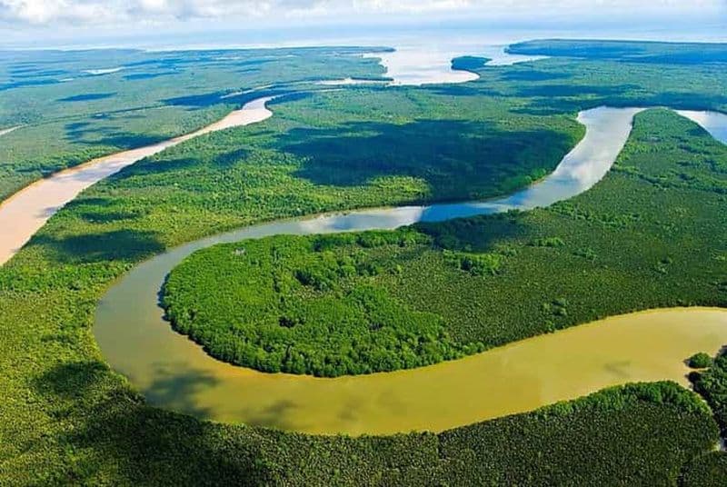 Sandakan : croisière sur la rivière Kinabatangan avec déjeuner
