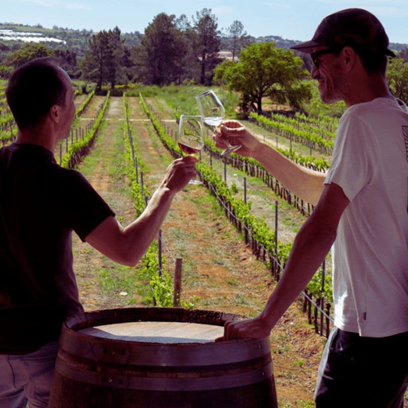 Depuis Albufeira : Visite d'une jounée de dégustation de vins avec un guide