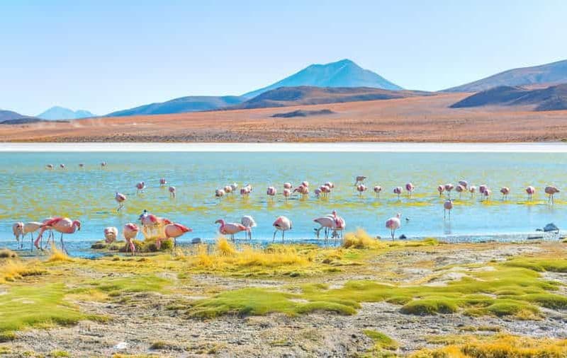 Depuis Uyuni : Laguna Colorada et Salar de Uyuni 3 jours + repas