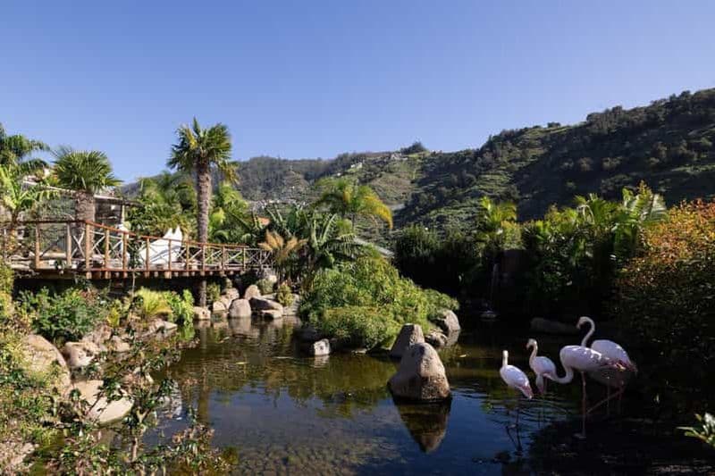 Billet Visite de l'île aux oiseaux de Madère
