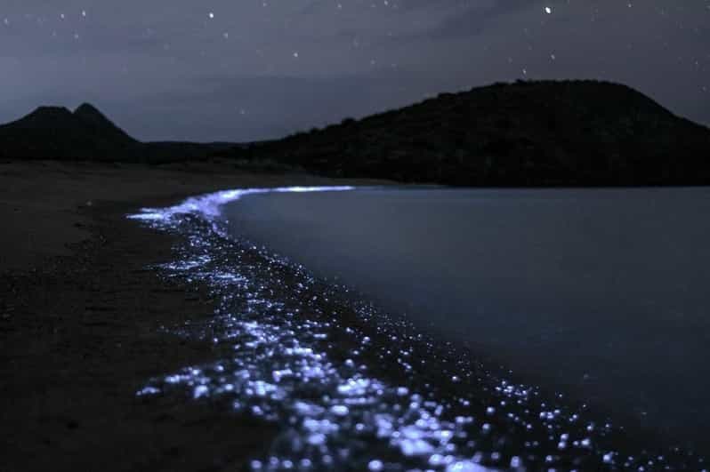 Cat Ba : sortie en kayak et plancton bioluminescent dans la baie de Lan Ha
