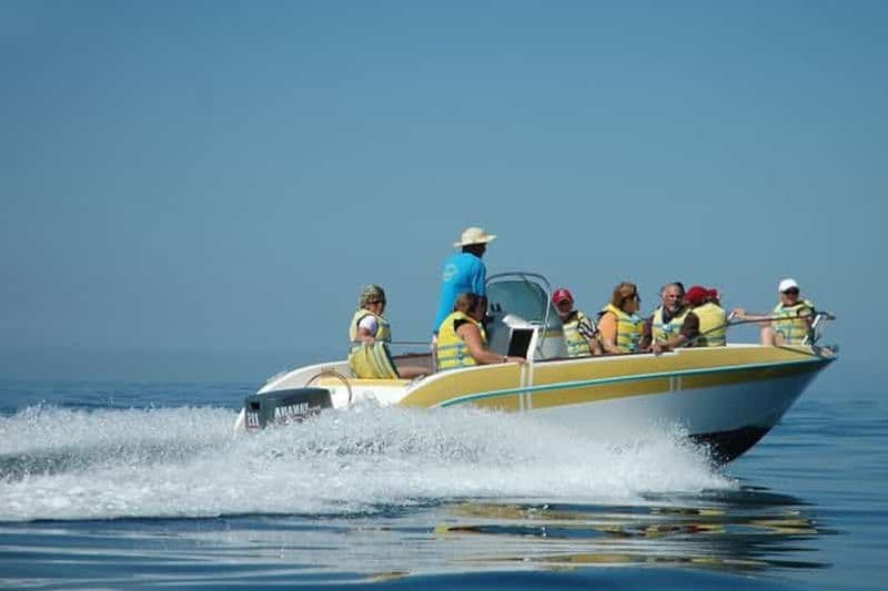 Billet Djerba : une excursion en bateau à couper le souffle à la rencontre des dauphins