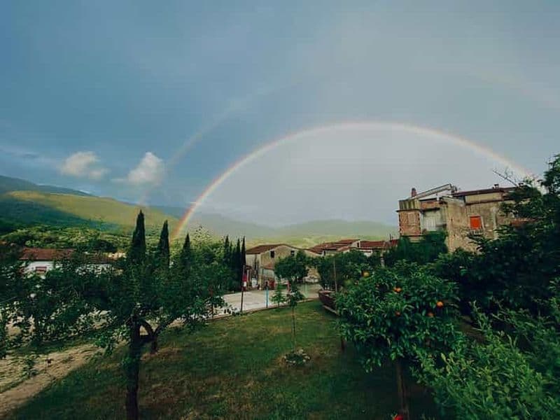 Billet Camerota : dégustation guidée de vins