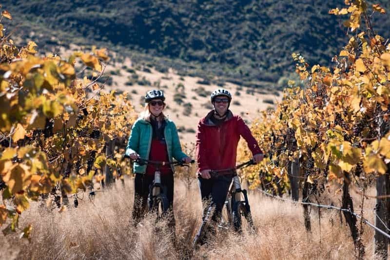 Queenstown : Visite guidée à vélo des vignobles de la vallée de Gibbston