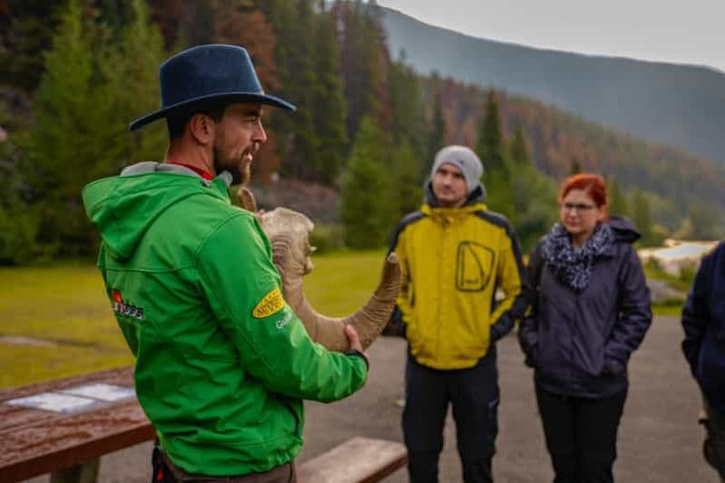De Jasper : Circuit de découverte de la faune et de la flore du parc national Jasper