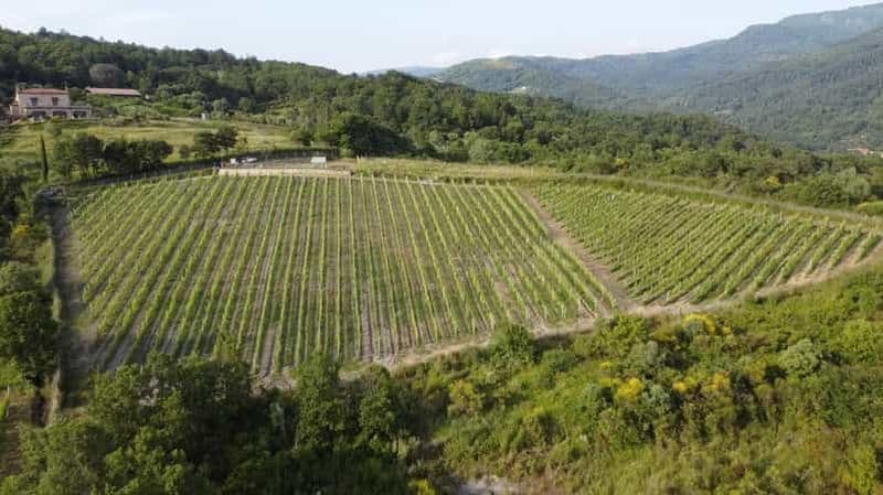 Moio della Civitella : Adoptez un rang et cultivez votre vin