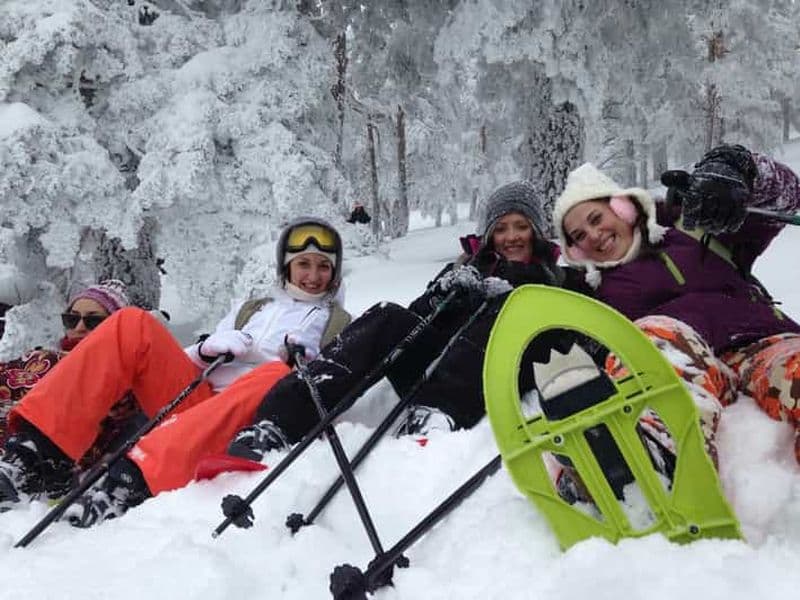 Madrid : Randonnée en raquettes de 4 heures