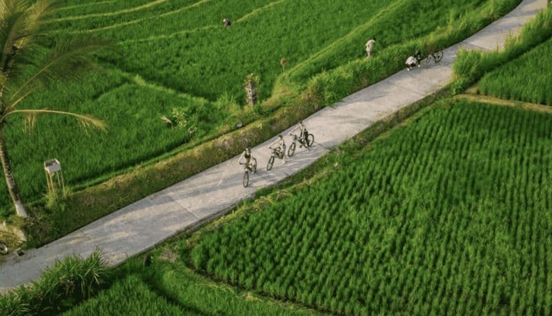 Ubud : Visite à vélo des villages locaux, des temples et des rizières