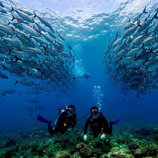 Phuket : Plongée sous-marine aux îles Maithon ou Racha pour tous les niveaux
