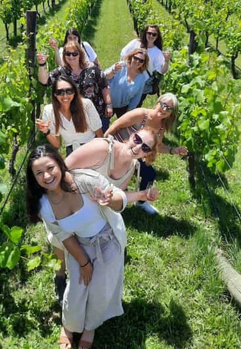 Depuis Wellington : visite des vignobles de Martinborough
