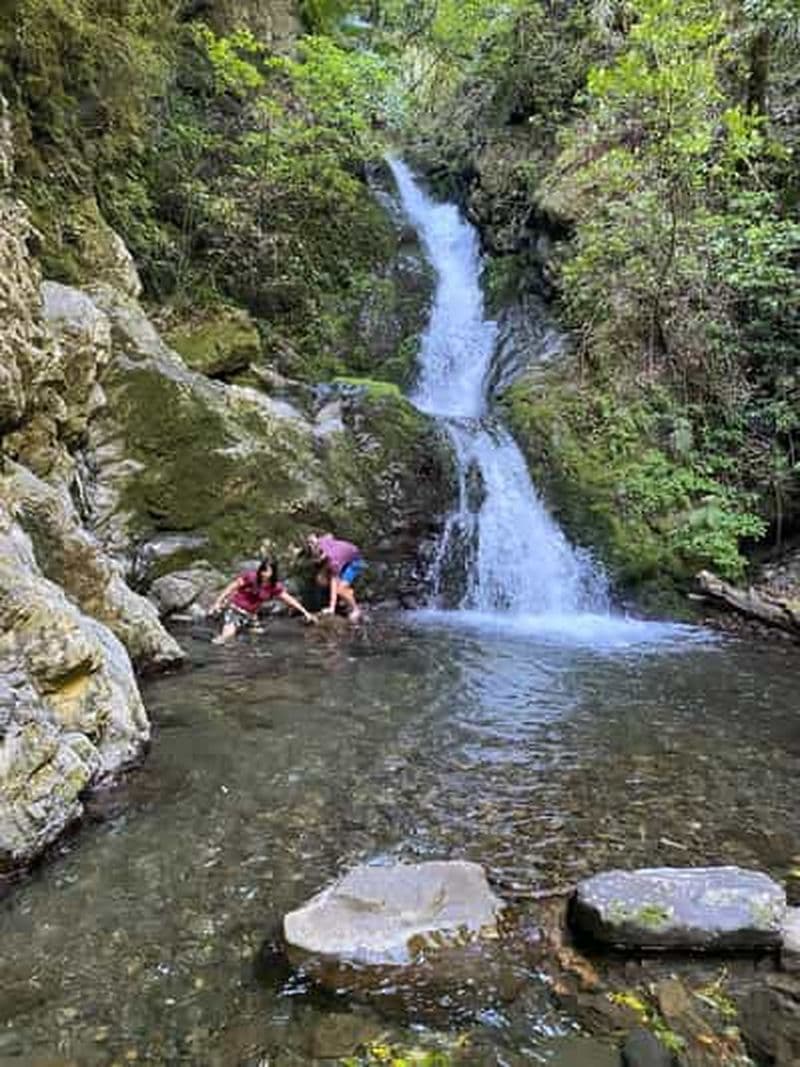 Rivière Rangitaiki : tour en jet boat sur la rivière Motu