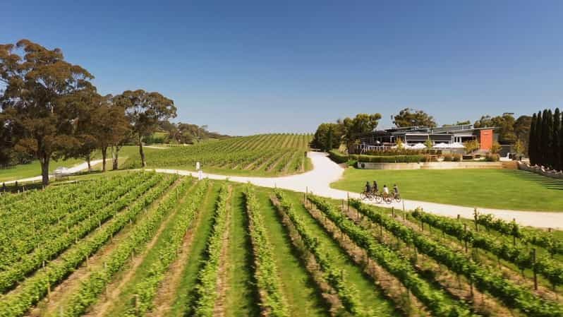 Hahndorf : Gourmet Food & Wine E-Bike Tour