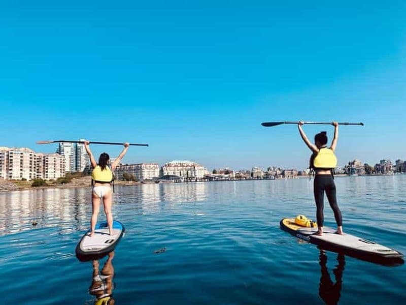 Lac Thetis : Leçons privées de SUP avec un instructeur certifié