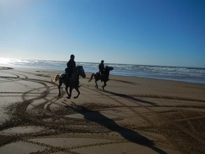 D'Essaouira: balade à cheval panoramique sur Diabat avec transfert