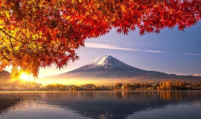 Au départ de Tokyo : Excursion d'une journée au Mont Fuji (4 attractions incontournables)