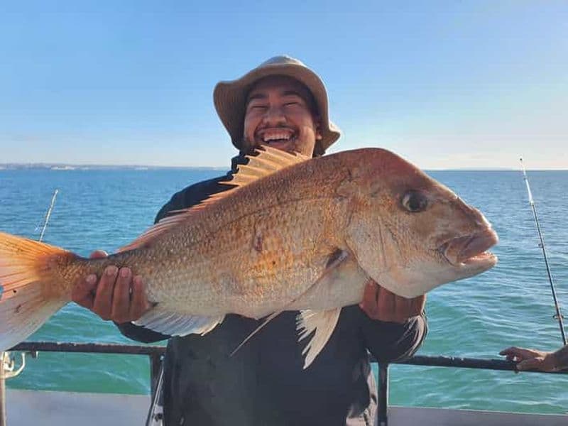 Auckland : sortie de pêche au crépuscule de 17 h à 21 h 30