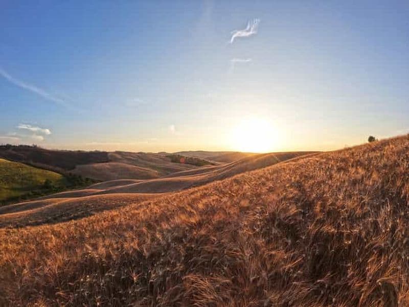 Billet Expérience avec les oiseaux de proie en Toscane