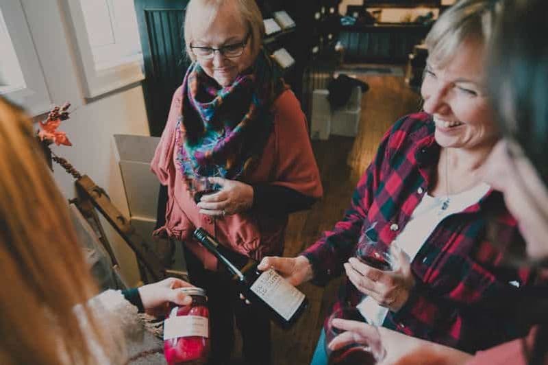 Toronto : Visite de dégustation des vignobles du Niagara et déjeuner facultatif