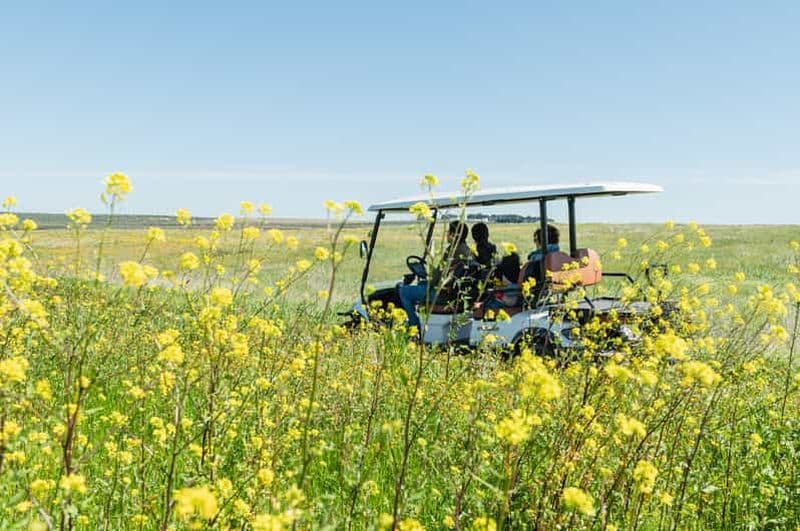 Billet Tour en voiturette de golf et apéritif dans l'ancienne Masseria