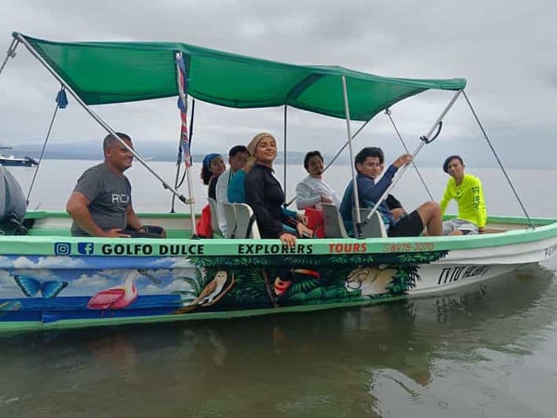 Golfo Dulce : excursion d'observation des dauphins et de plongée avec masque et tuba, tout compris.
