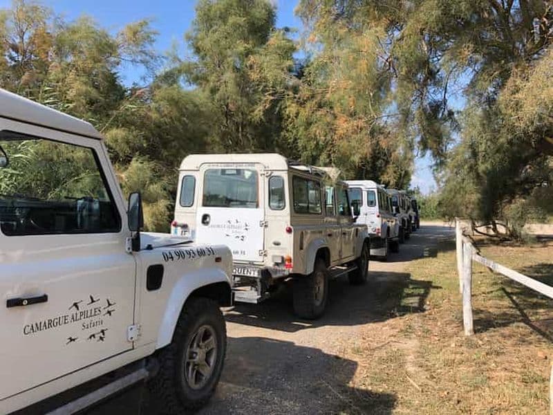Billet Au départ d'Arles : demi-journée de safari en Camargue en 4x4