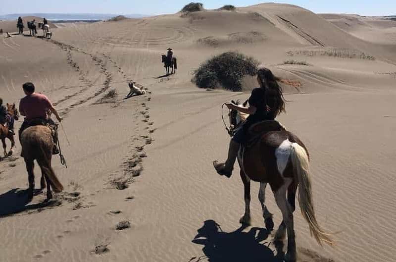 Santiago : balade à cheval, dunes de sable avec transfert et barbecue en option