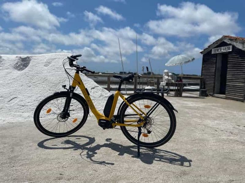 Aveiro : visite en vélo électrique avec un guide de la région