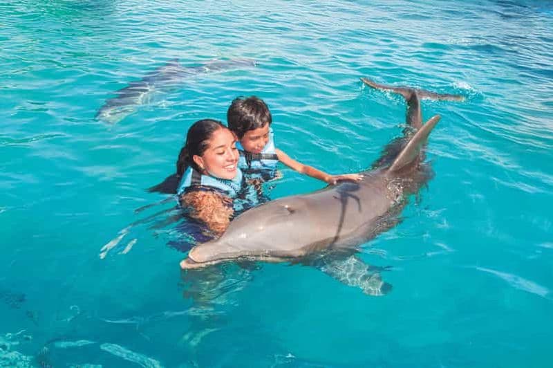 Cancún : rencontre avec les dauphins et buffet à la boîte de nuit Isla Mujeres