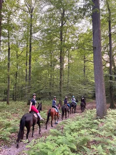 Paris : balade à cheval à Aumont-en-Halatte