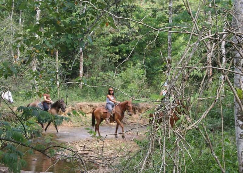 Promenade à cheval à Penedo le long de sentiers forestiers cachés