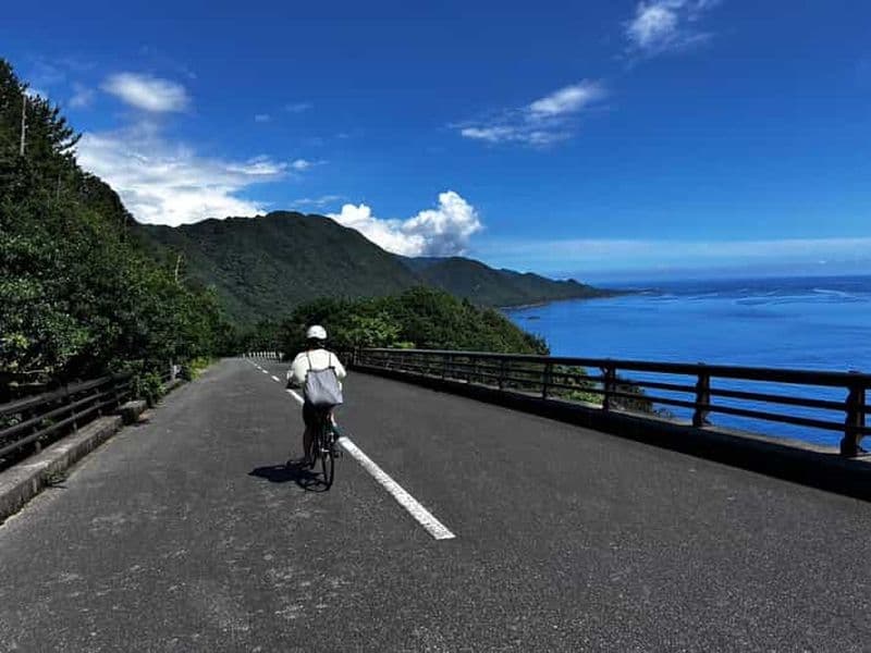 Billet Yakushima : location de vélo électrique (prise en charge et retour inclus)