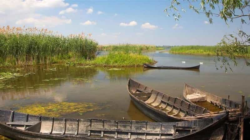 Billet Sulina : excursion en bateau dans le village de Mila 23 dans le delta du Danube