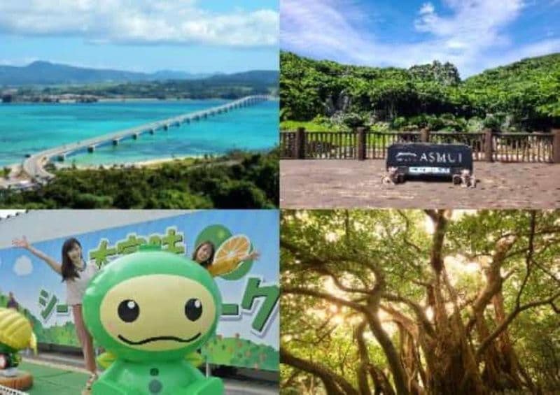 Okinawa : visite en bus du parc national de Yanbaru et de l'île de Kouri