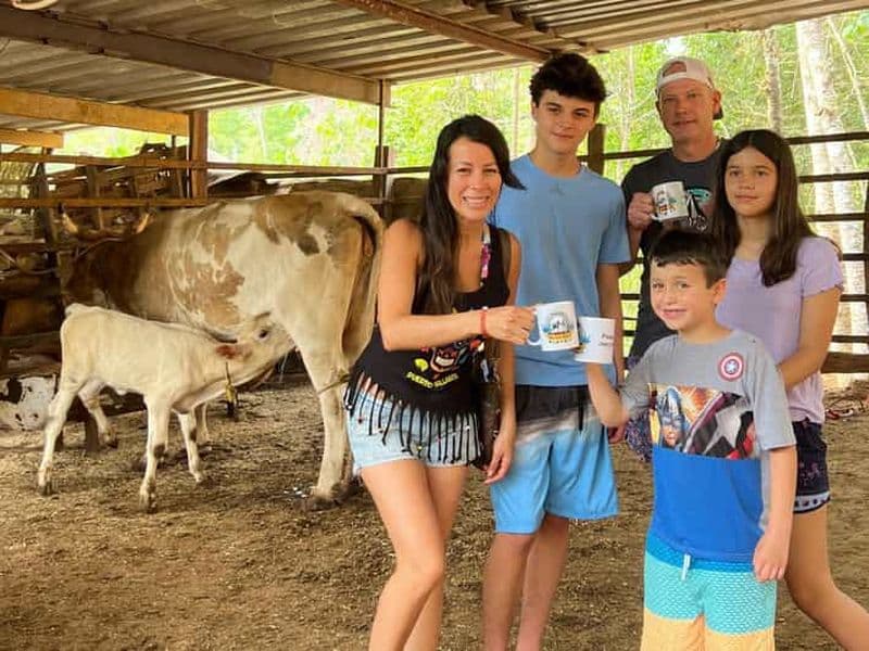 Puerto Vallarta : expérience agricole pratique, de la vache au fromage