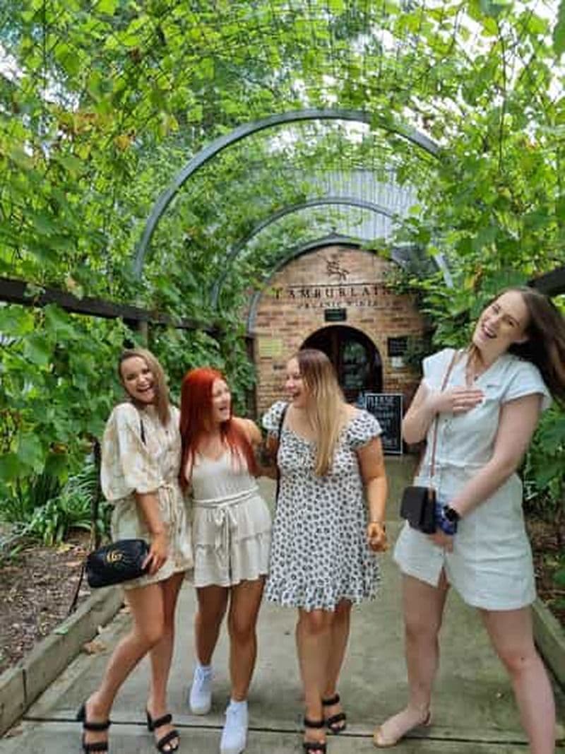 Newcastle : Visite de la Hunter Valley (vin, gin, fromage et chocolat)