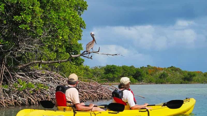 Thomas : Aventure en kayak au coucher du soleil sur l'île aux oiseaux