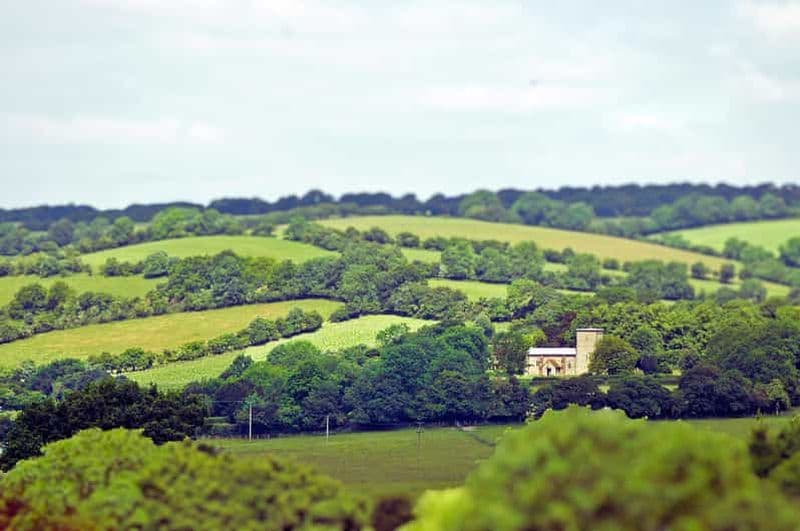 Chilterns : visite tout compris du vignoble avec dégustations et déjeuner