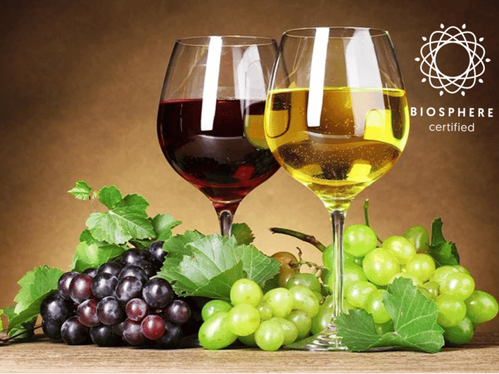 Madère : dégustation de vin, musée du miel et Cabo Girão