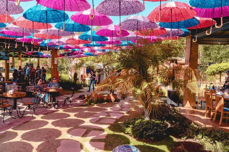 São Paulo : Excursion privée d'une journée entière dans le domaine du vin à São Roque