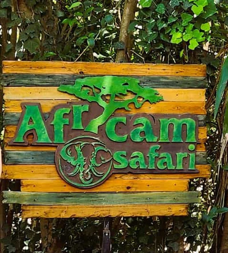Depuis Puebla : AFRICAM SAFARI PRIVATE TOUR