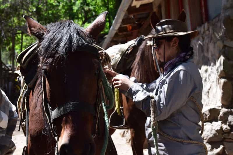 Balade à cheval dans le Cajón del Maipo, Santiago du Chili
