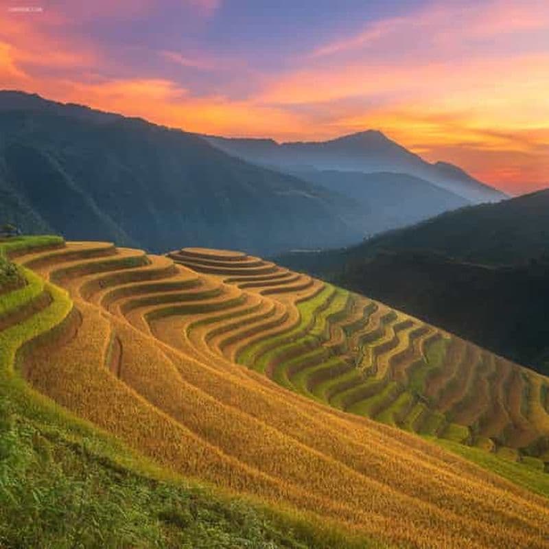 Au départ de Sapa : randonnée guidée d'une journée à Lao Chai et Ta Van avec déjeuner