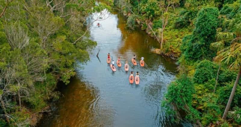 Sydney : excursion en SUP dans la lagune de Narrabeen avec un instructeur